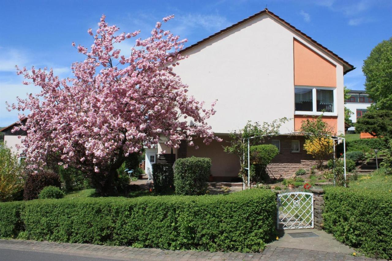 Ferienwohnung Haus Müller Adelheid Hilders Exterior foto